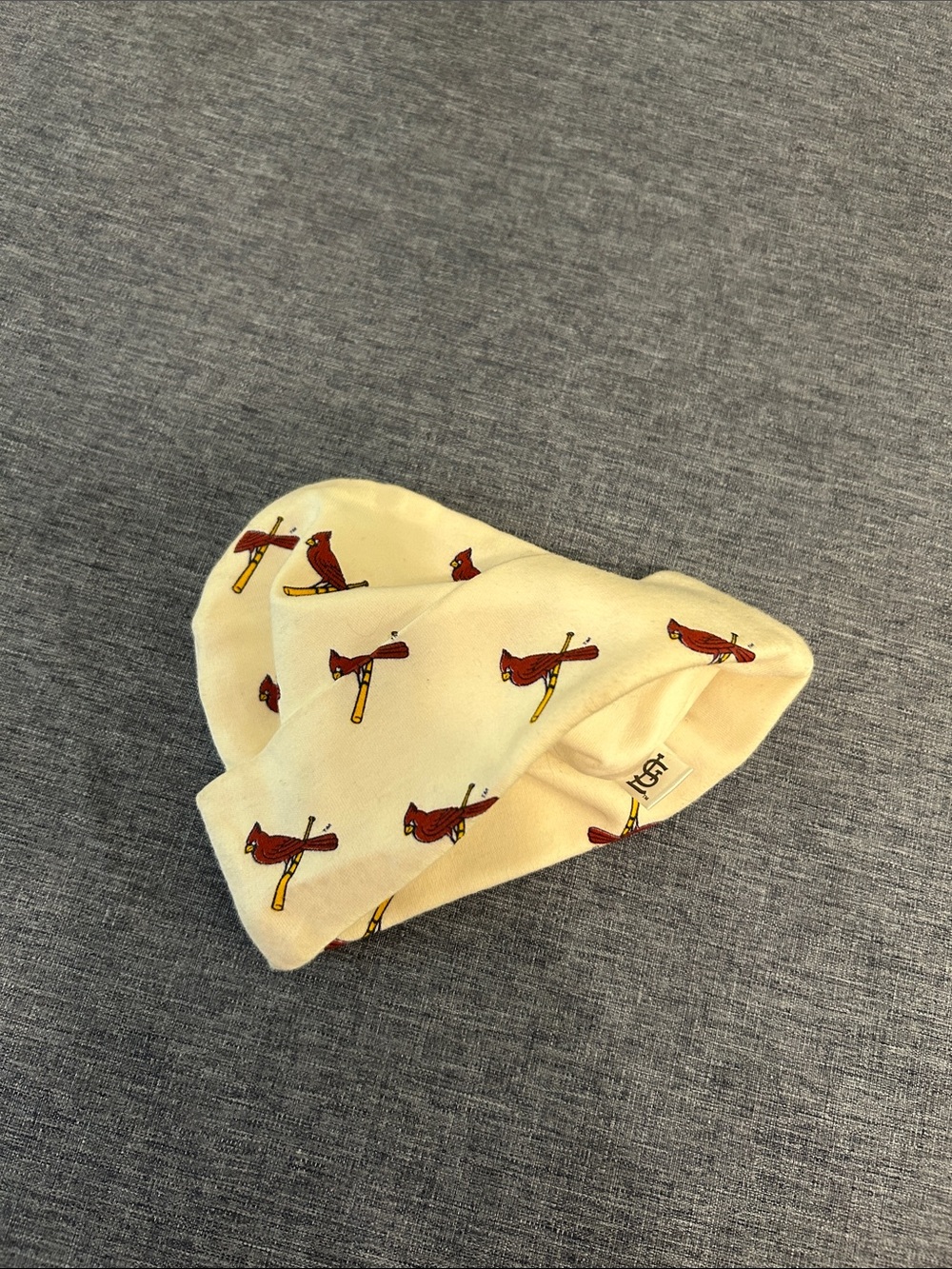 Kids Cream Beanie with Red Cardinal Pattern